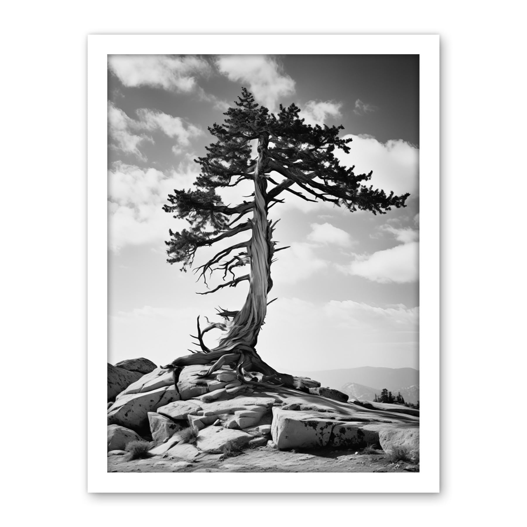 Artery8 Weathered Jeffrey Pine Standing on a Rocky Hill Black and White Photograph Lone Tree Artwork Framed Wall Art Print 18X24 Inch