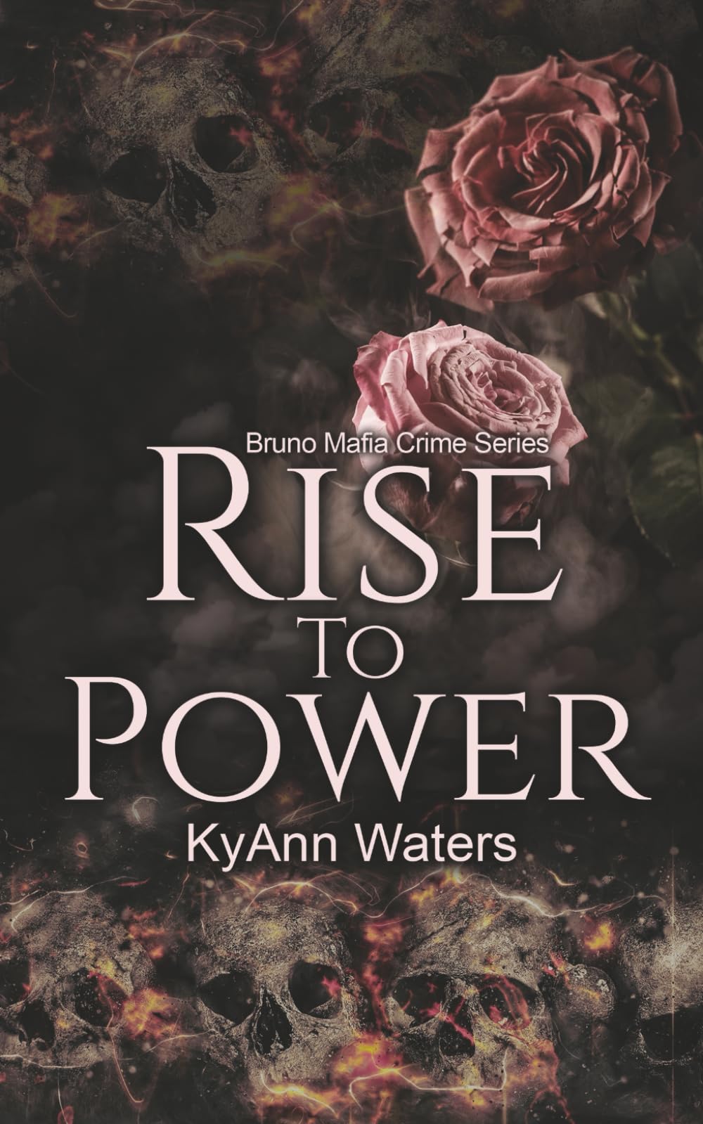 Rise To Power (Bruno Mafia Crime Series)