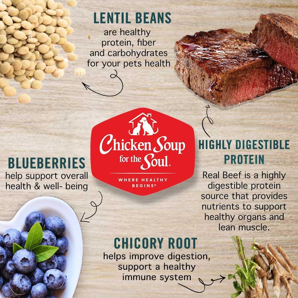 Chicken Soup for the Soul All Natural Premium Grain-Free All Life Stage Dry Dog Food, Real Meat First Ingredient, No By-Products, Added Taurine Supports Heart Health, Beef & Legumes, 22lb