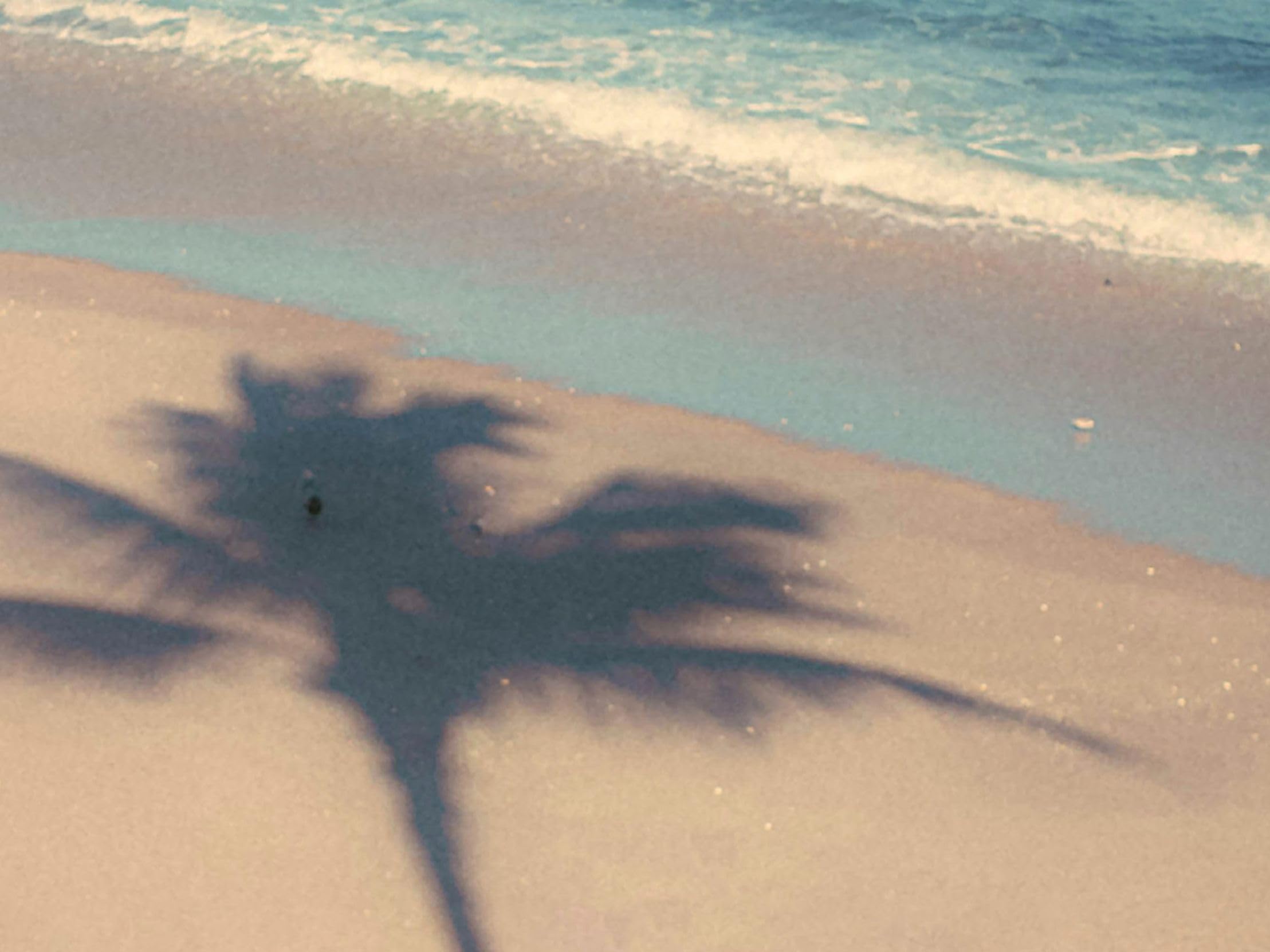 The Anthony Parker Experience