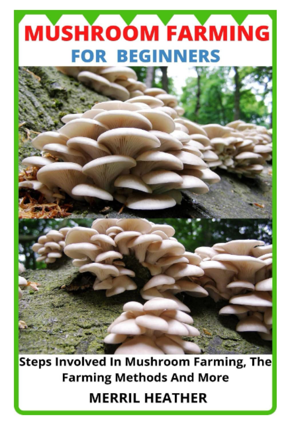 Buy MUSHROOM FARMING FOR BEGINNERS Steps Involved In Mushroom Farming