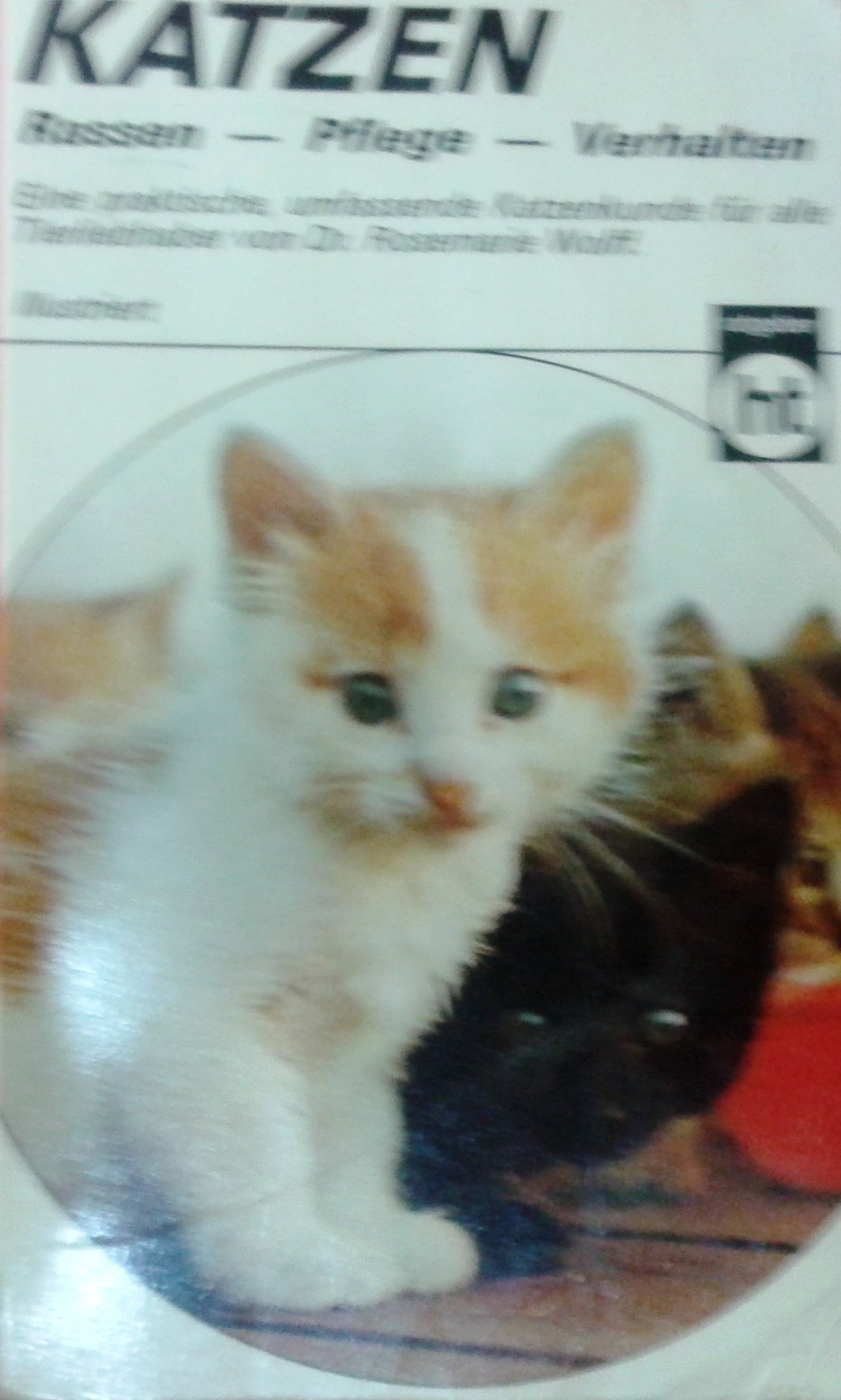 Katzen