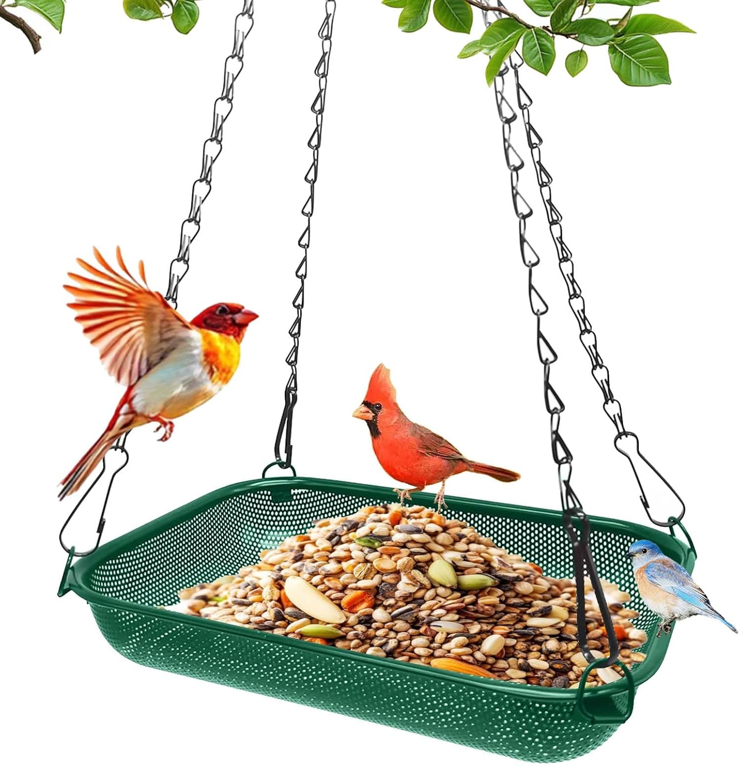 Platform Hanging Bird Feeder for Outdoors – Metal Mesh Seed Tray to Attract Wild Birds, Rectangle 12 x 8 in, Green
