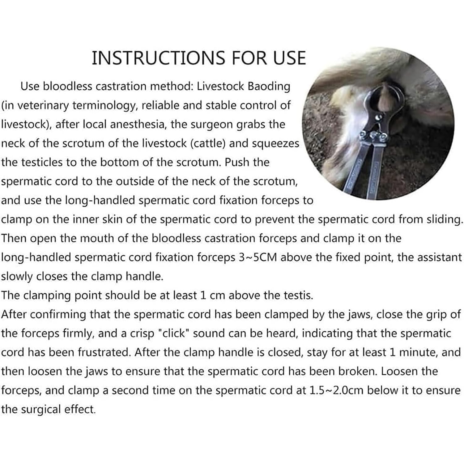 Castratore Senza Sangue Stainless Steel SS Inst Castration Emasculator ...