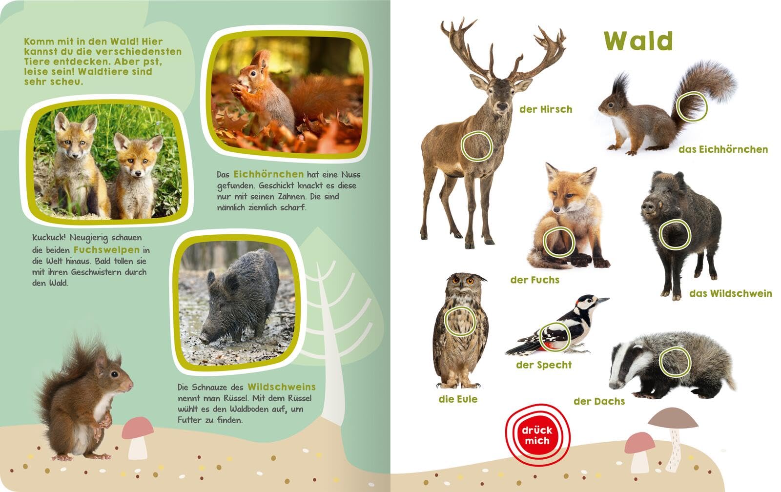 Mein großes Buch der Tiergeräusche: Mit 50 Sounds | Hochwertiges Soundbuch mit realistischen Tierstimmen für Kinder ab 2 Jahren