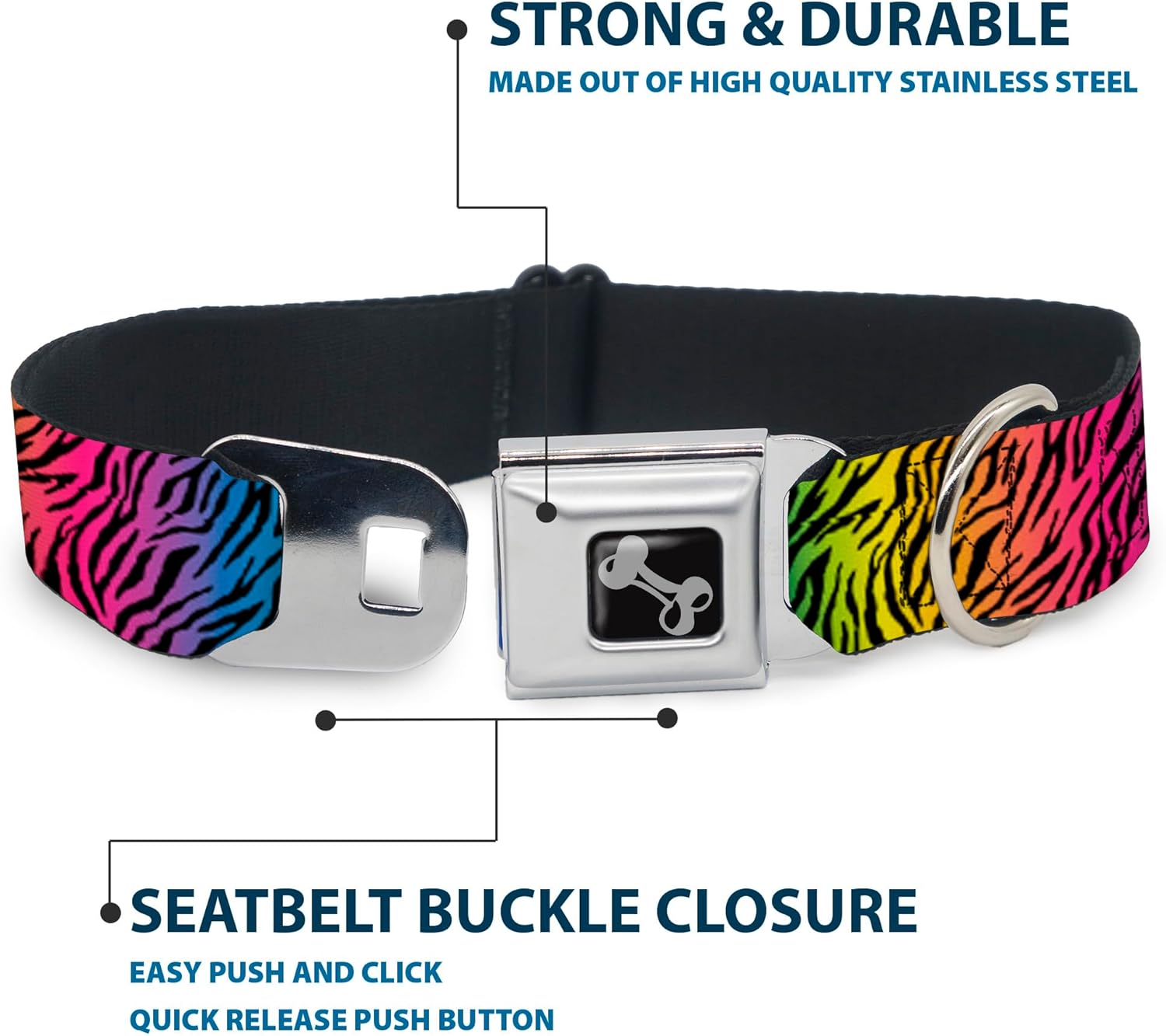 Dog Collar Seatbelt Buckle Zebra Rainbow Ombre 16 to 23 Inches 1.5 Inch Wide