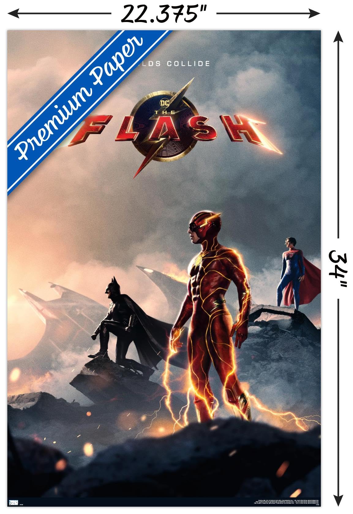 Amazon.com: Trends International DC Comics Movie The Flash