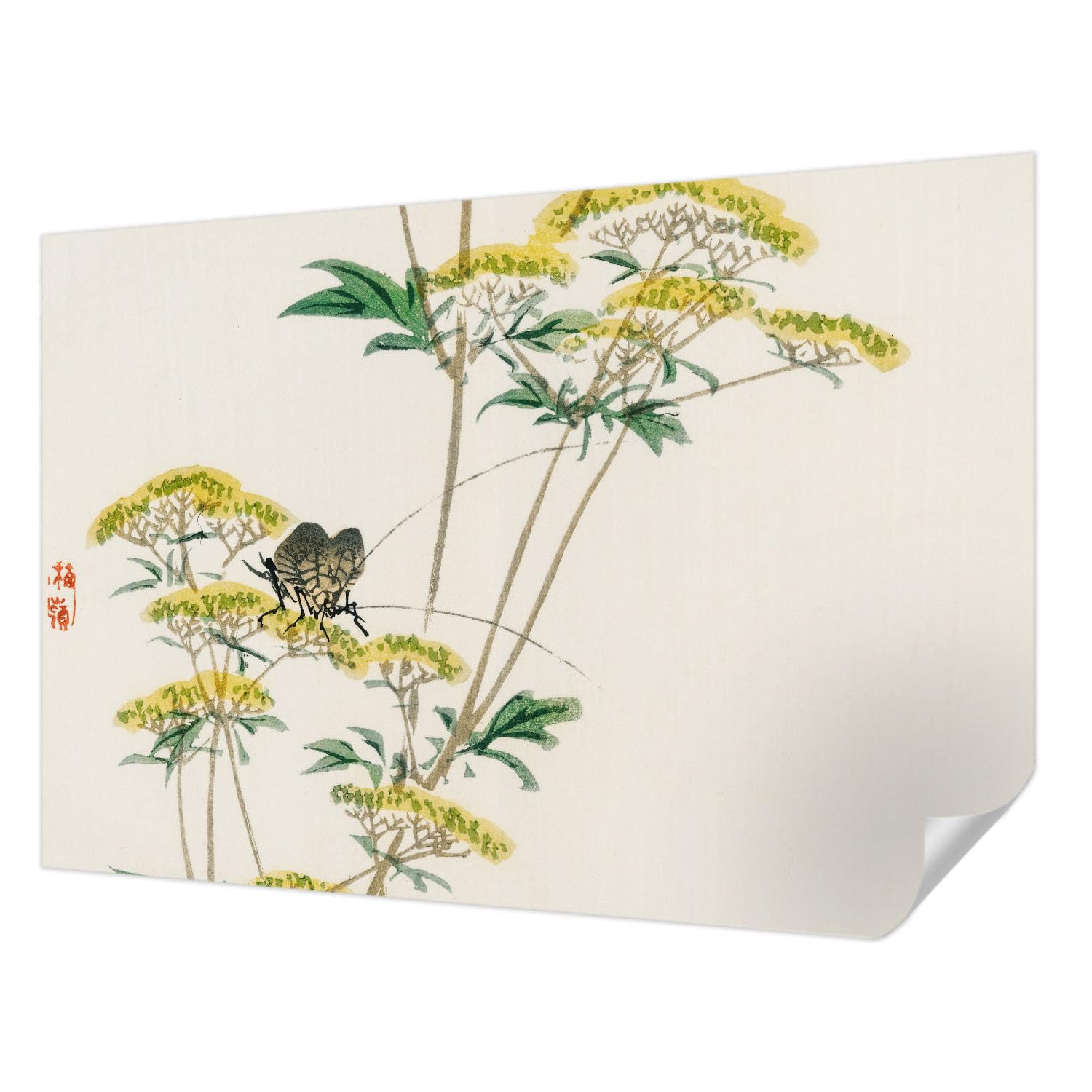 Papel tapiz flores naturaleza antimanchas para renovar paredes viejas