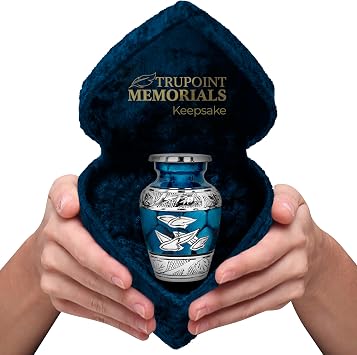 Trupoint Memorials Small Urns for Human Ashes Keepsake, Decorative Mini Cremation Urn for Adult Men and Women, Small Blue Birds with Velvet Heart Box