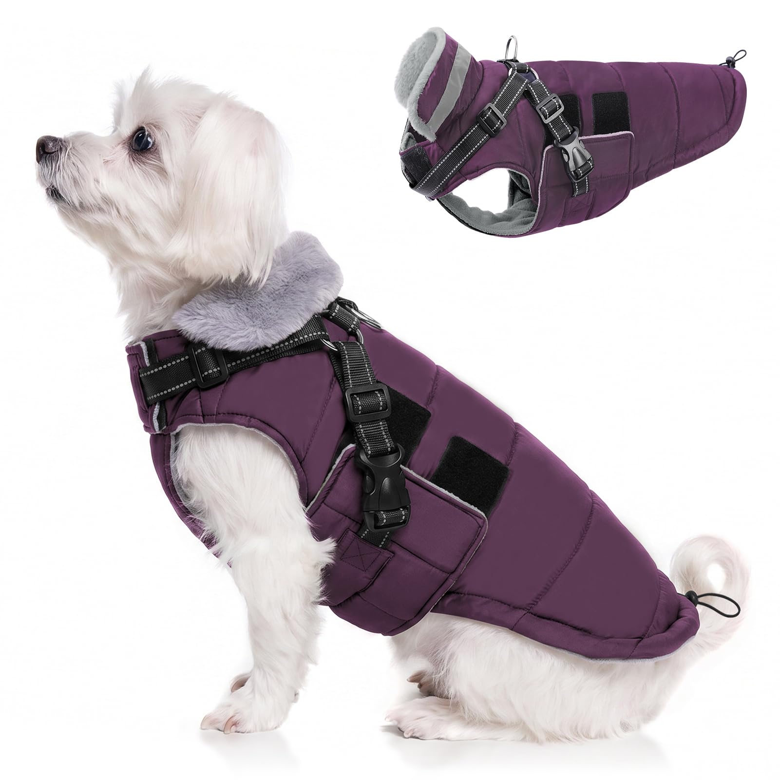 Queenmore Dog Coat Small, Puppy Winter Jackets Waterproof, Easy-On, XS