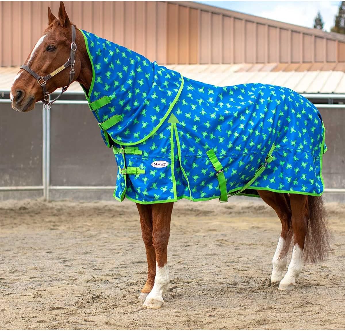 Mackey Flying Frogs Rain Sheet with Detachable Hood, Large Blue (76-78)