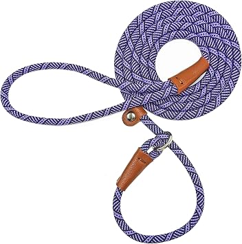 Slip Lead Dog Leash, 1/4" x 5ft No Pull Slip on Training Leash for Small and Medium Dogs Purple