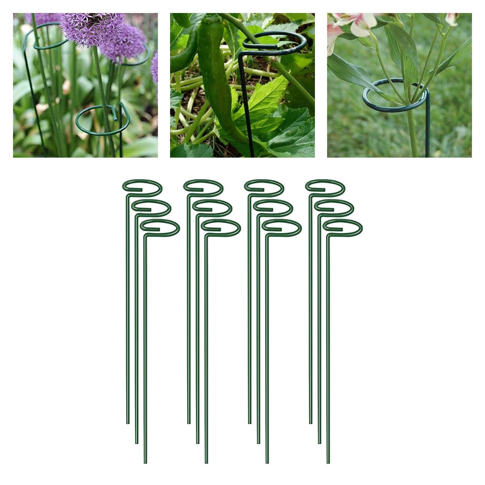 12 Pièces Tuteurs Plantes Supports Tiges Anneaux Fer Renforcé Installation Simple pour Pots Fleurs Tomates Marigold Utilisation Intérieur Extérieur, Hauteur 55cm