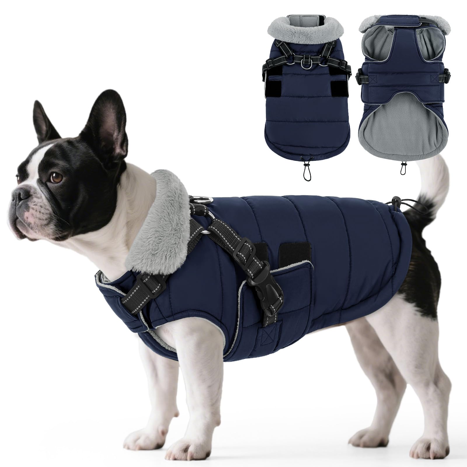 ASENKU Small Dog Winter Coat with Built-in Harness – Waterproof Fleece Lined Reflective Jacket for Westie Jack Russell Yorkie, UK Daily Walks Rainy Hiking