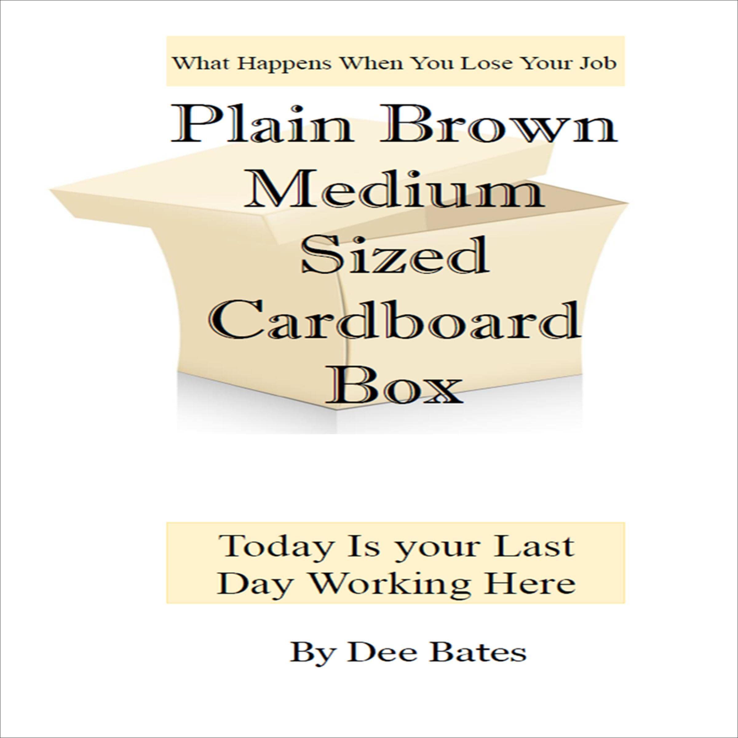 Plain Brown Medium Sized Cardboard Box