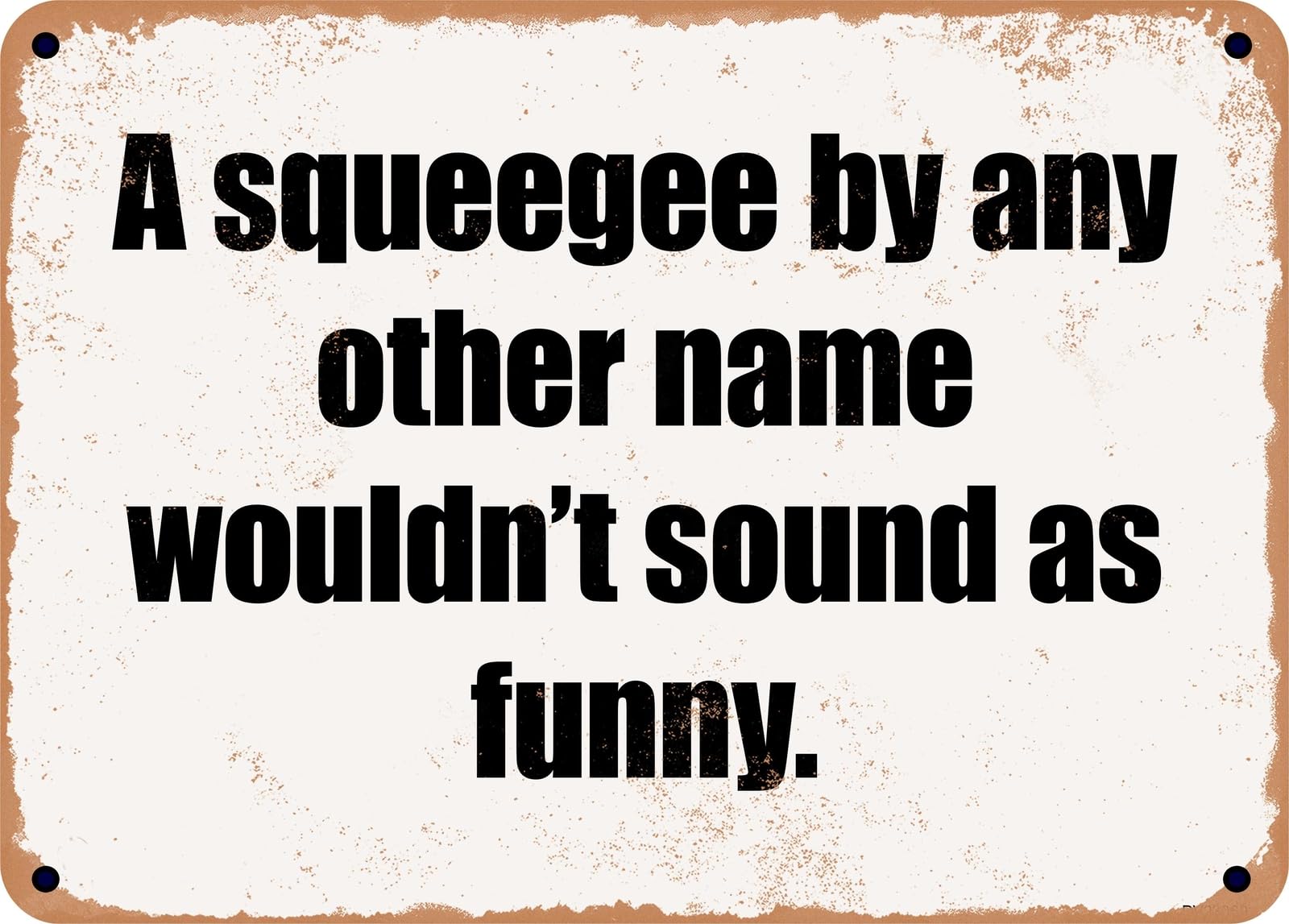 Miaomansenstore Metal Sign - A Squeegee By Any Other Name Wouldn't Sound As Funny Home Decor