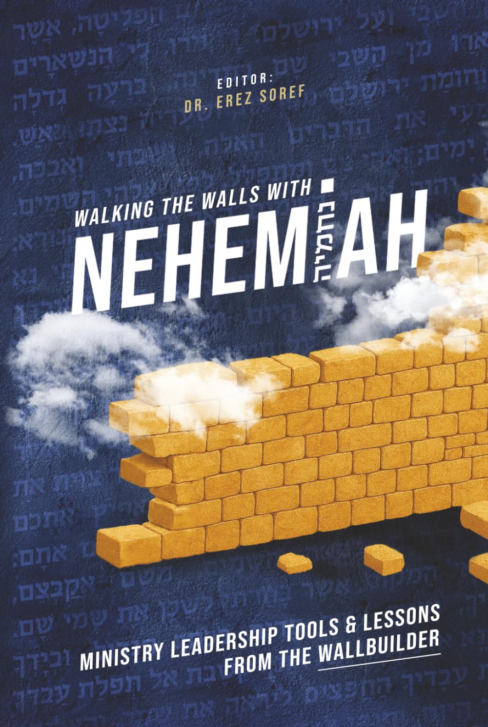 Walking the Walls with Nehemiah: Ministry Leadership Tools & Lessons from the Wallbuilder
