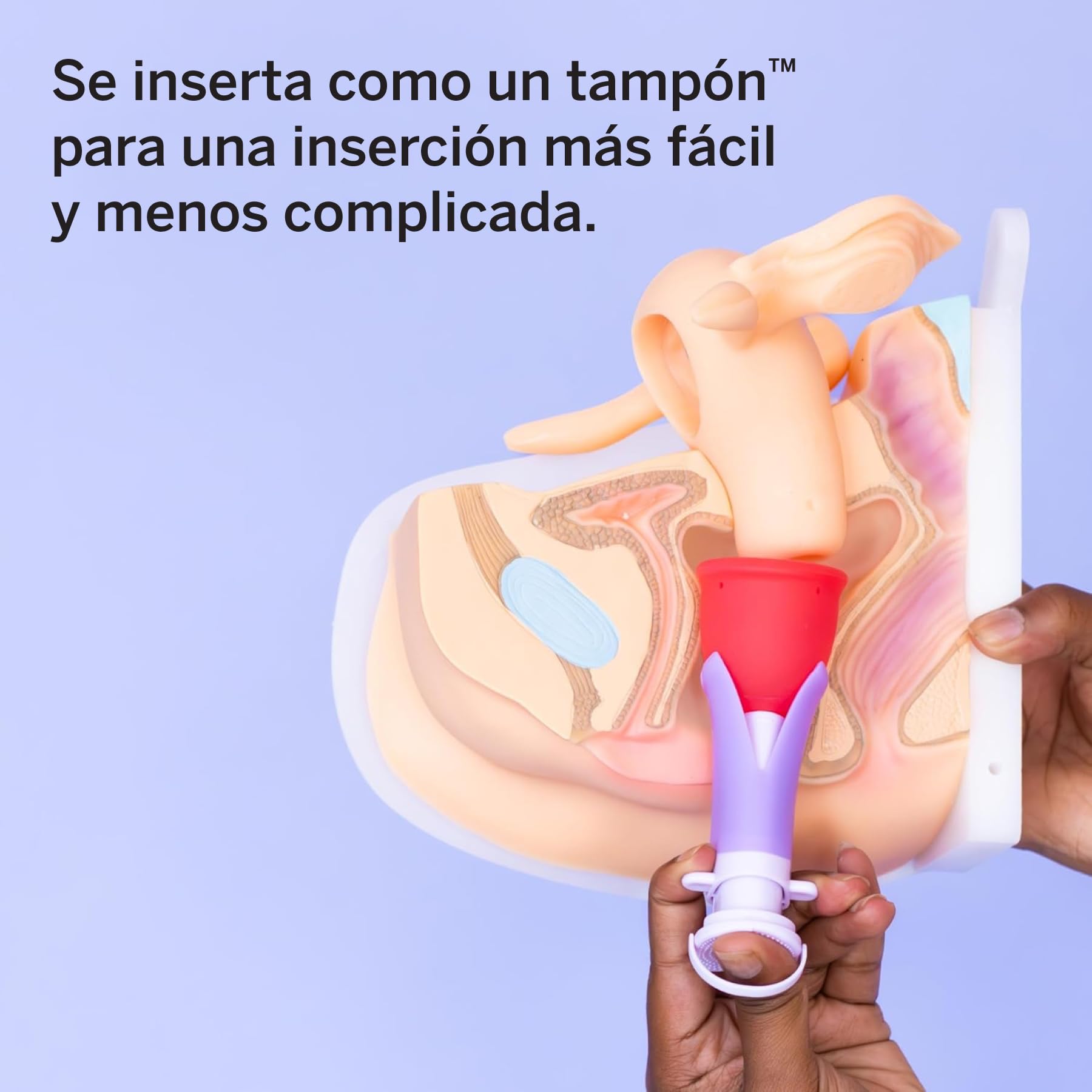 Paquete de 2 copas menstruales y aplicador, sin metales ni toxinas, 100% silicona de grado médico, taza de período reutilizable más suave, se inserta como un tampón, capacidad de 4 y 6 tampones