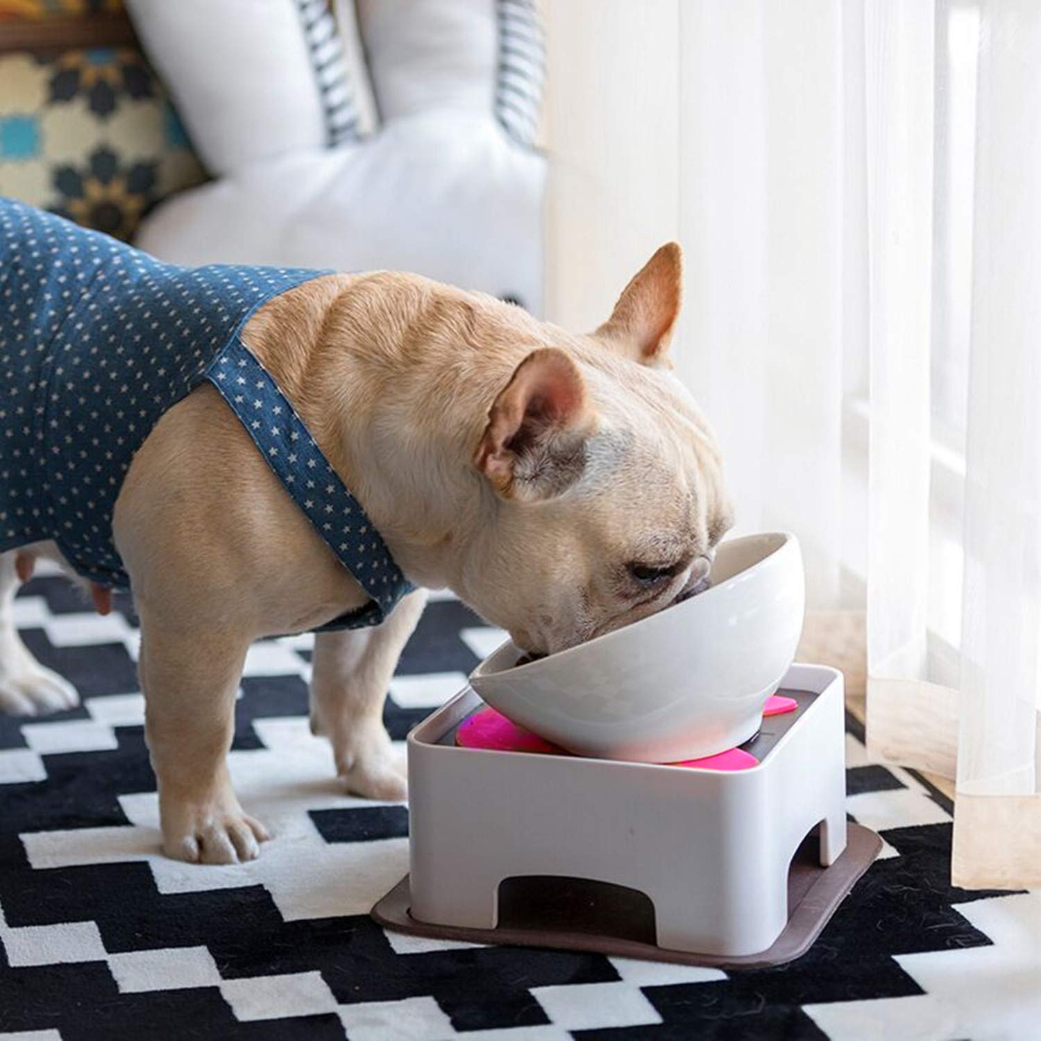 ALBOLET Franse Bulldog voerbak met voedselopslagcontainers, verhoogde honden- en kattenvoerbak, antislip, schuine honden-/kattenvoerbak, wit