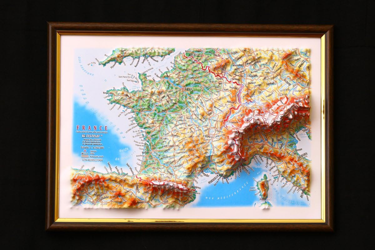 France Map 3D Raised Relief Framed Map Amazing Decorative Bird's-Eye View