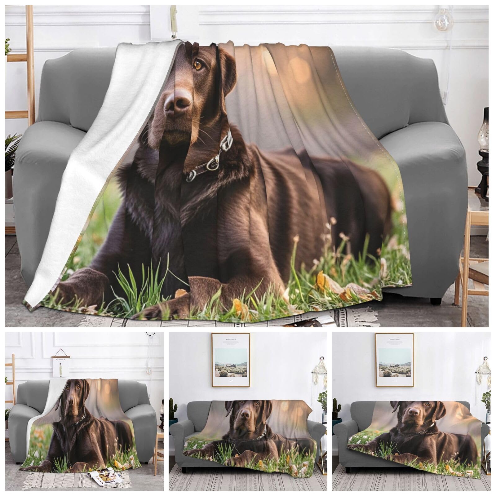 Couverture flanelle douce motif labrador, idée cadeau idéale pour amoureux de chiens