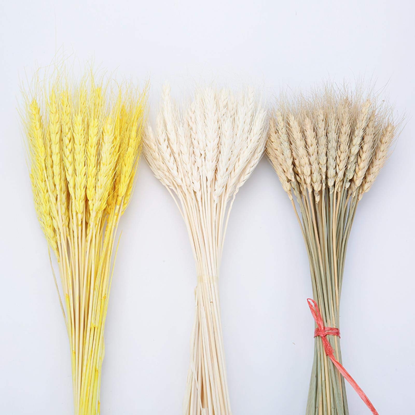 100pcs Droog tarwegras boeket natuurlijke tarwe oren gedroogde