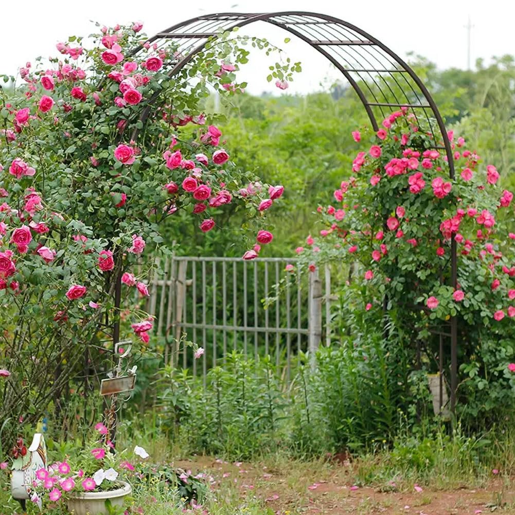 Gazebo da giardino in metallo resistente,archi,rose e altre piante rampicanti,arco rampicante,traliccio da giardino,pergolato all'aperto,grande festa di matrimonio,giardino,prato,cortile, archi