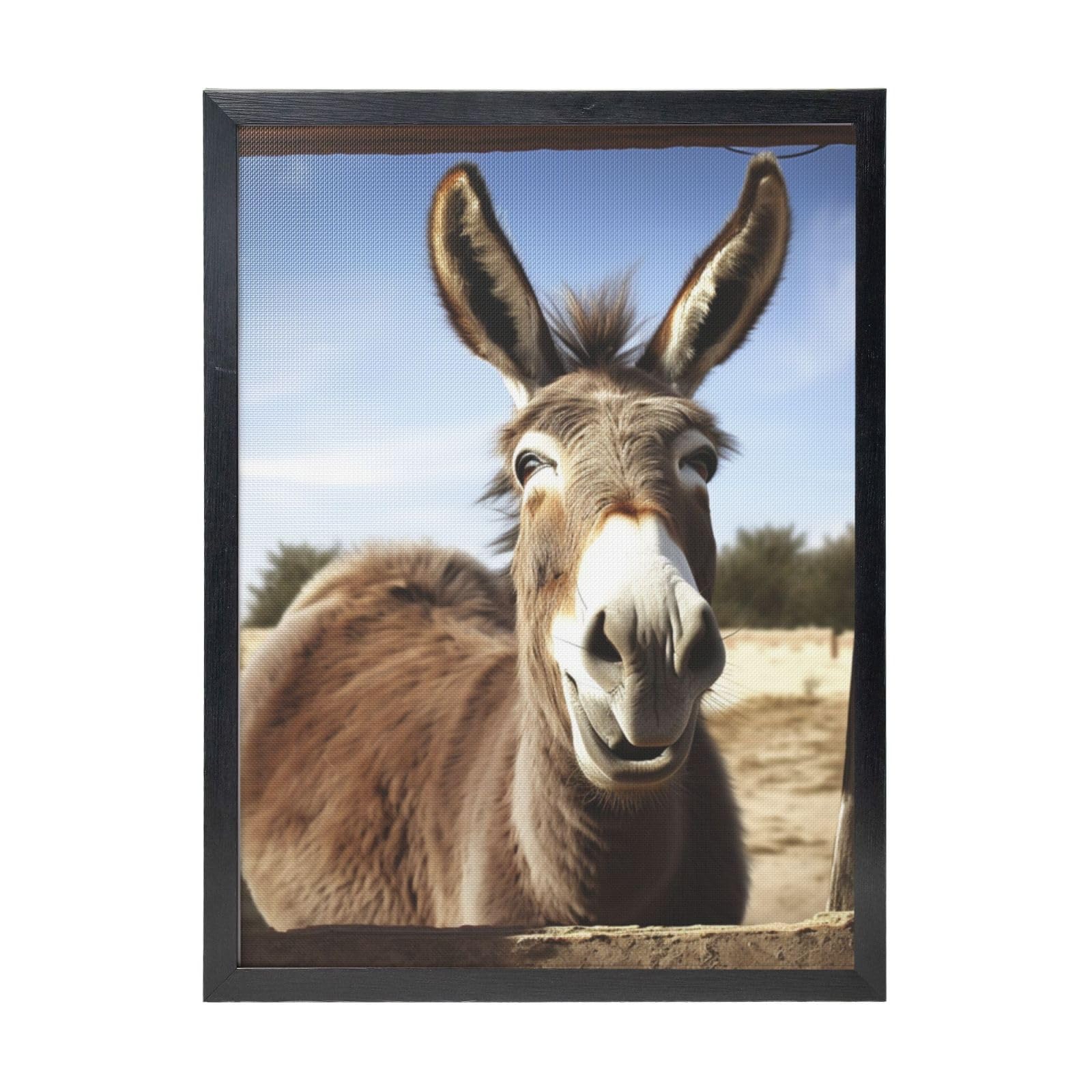 Framed Wall Art - Decorative Canvas Painting Funny Donkey Pictures Poster Aesthetic Modern Prints Artwork for Bedroom Office Wall Decor Ready To Hang 12x16 in