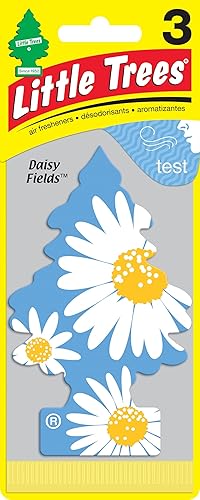 Little Trees - Ambientador para auto (3 unidades)