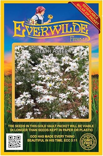 Miniatura 1 de Everwilde Farms - 2000 semillas de flores silvestres nativas Heath Aster - Paquete de semillas Gold Vault