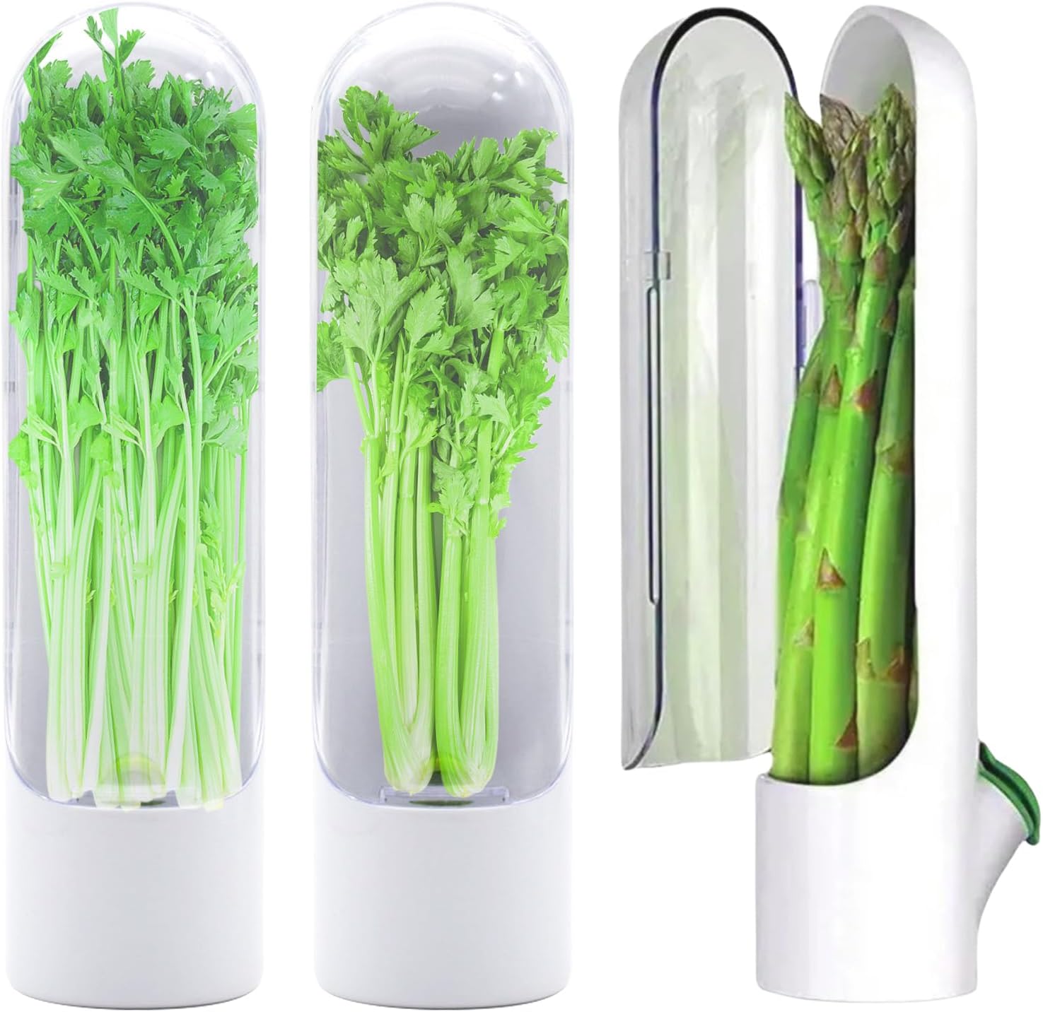 Lasting Refrigerator Herb Keeper, Herb Saver For