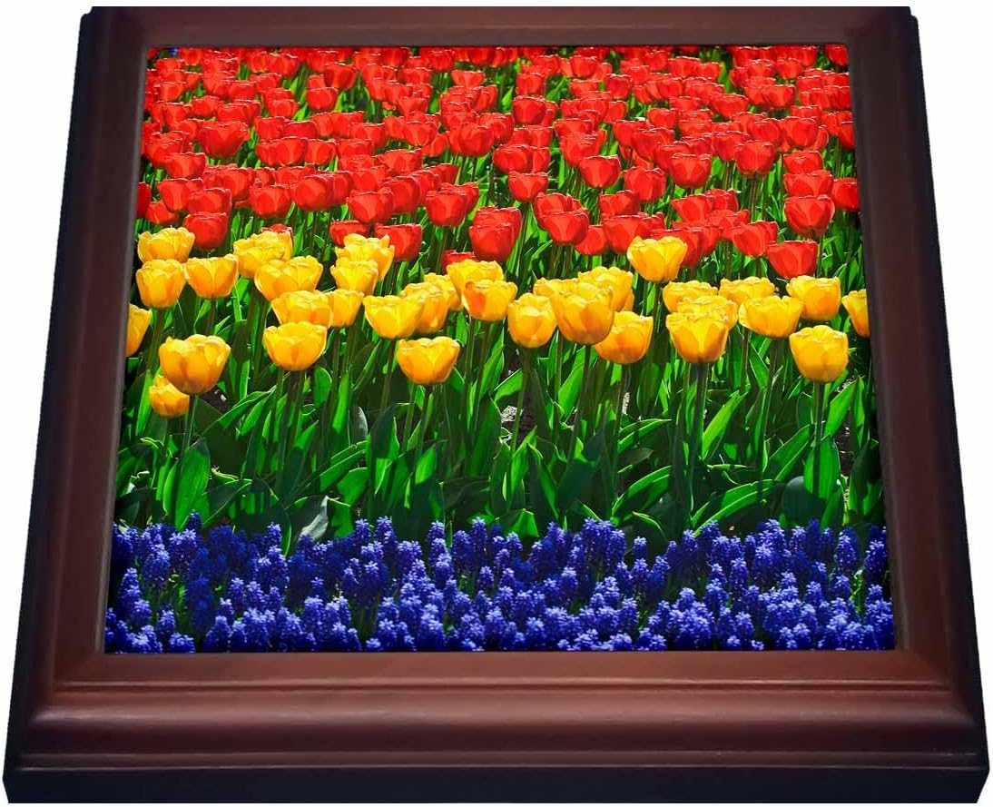 3dRose Trivet with Tile, 8 by 8-Inch, Brown