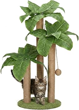 LEMONDA Canna Cat Scratching Post with Pom Pom Toy, Nail Grinder, Space-Saving, Height Adjustable 15.7-31.5 inches Canna