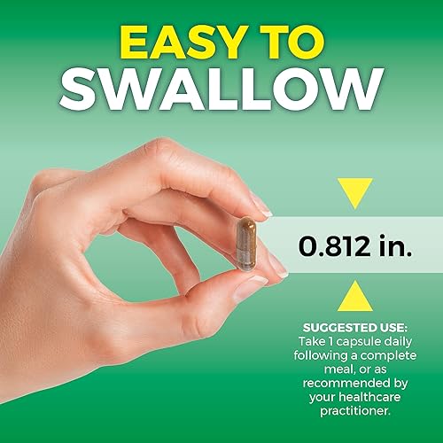 Miniatura 6 de Pycnogenol 100 mg de extracto de corteza de pino marítimo francés suplementos saludables de circulación sanguínea potente protección antioxidante