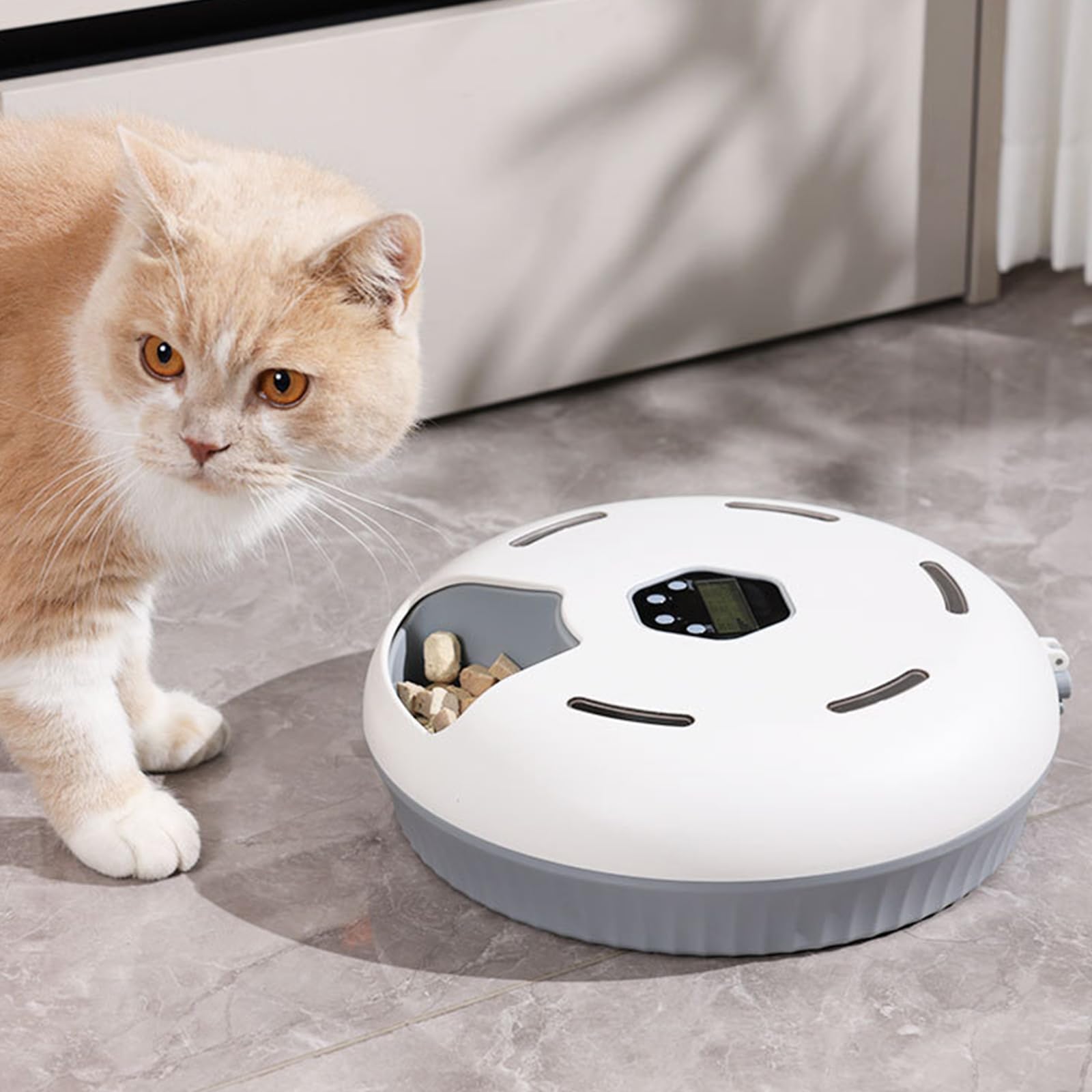 Comedero Automático para Gatos y Perros,Dos Paquetes de Hielo para Mantener Comida Fresca, 6 Comidas Frescas, Comedero Automatico Gato, para Comida Seca y Húmeda