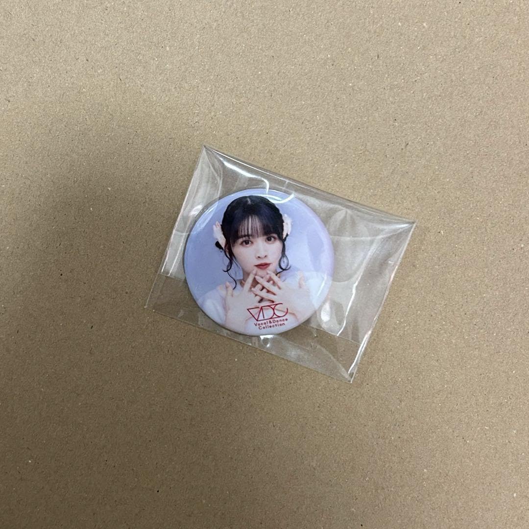 FRUITS ZIPPER 鎮西寿々歌 ラッフルくじA賞アクリルパネル等セット FRUITS ZIPPER 鎮西寿々歌生誕記念ラッフルくじ | RAFFLE