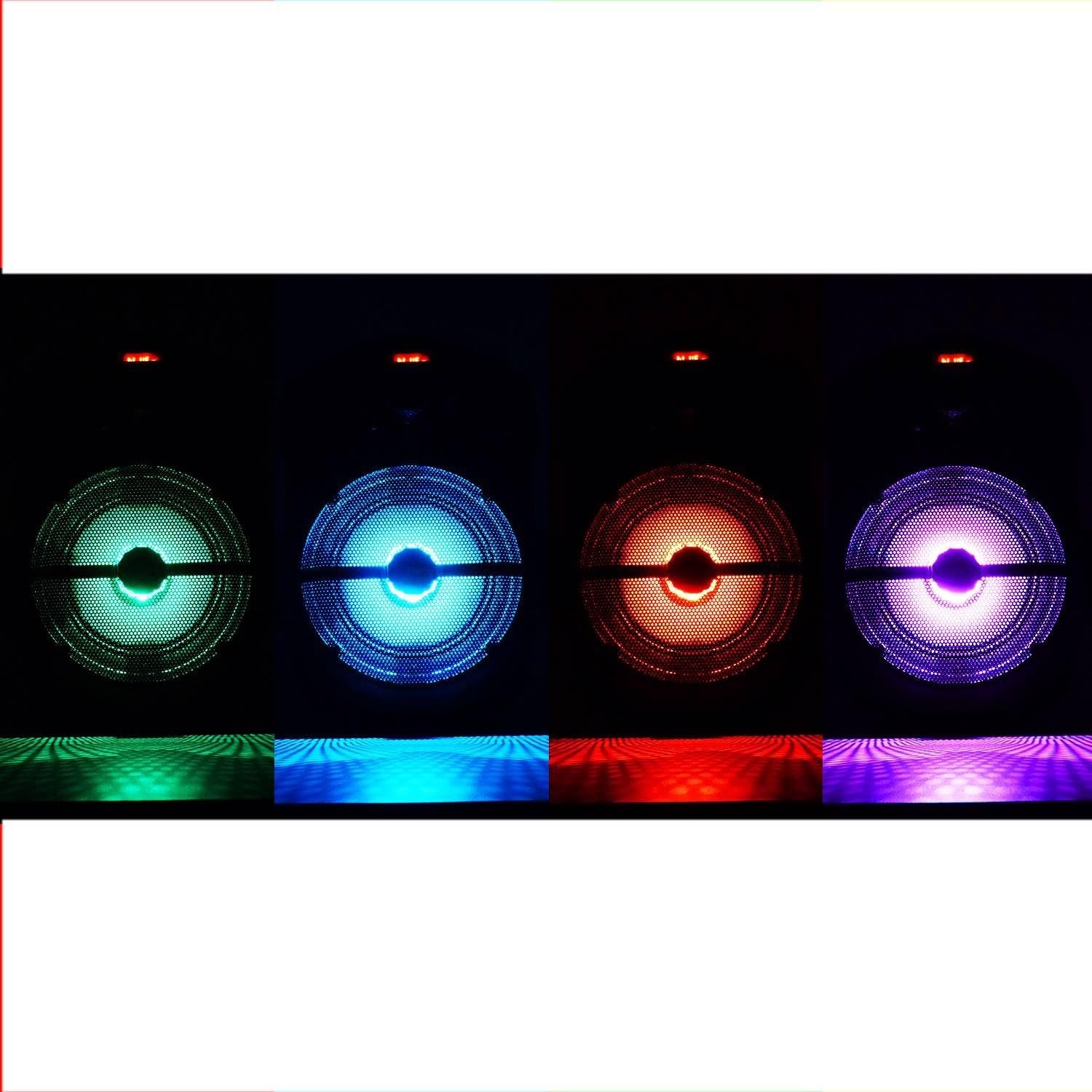 Enceinte Portable 8"/20cm 250W avec USB/Bluetooth/FM - Party Light & Sound HANDY250
