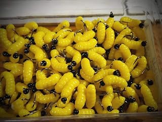 1 Dozen - #10 Bh Rubber Grub - Fl Yellow Wet Fly - Trout, Crappie, Pan Fish Fly Fishing Freshwater Saltwater Soft Lure Kit