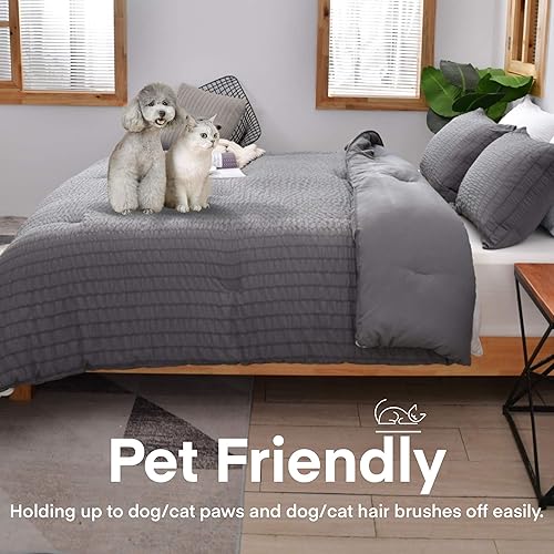 Miniatura 3 de AveLom - Juego de edredón de sirsaca, individual (68 x 90 pulgadas), 2 piezas, 100% microfibra suave lavada, ligero con 1 fundas de almohada, juego