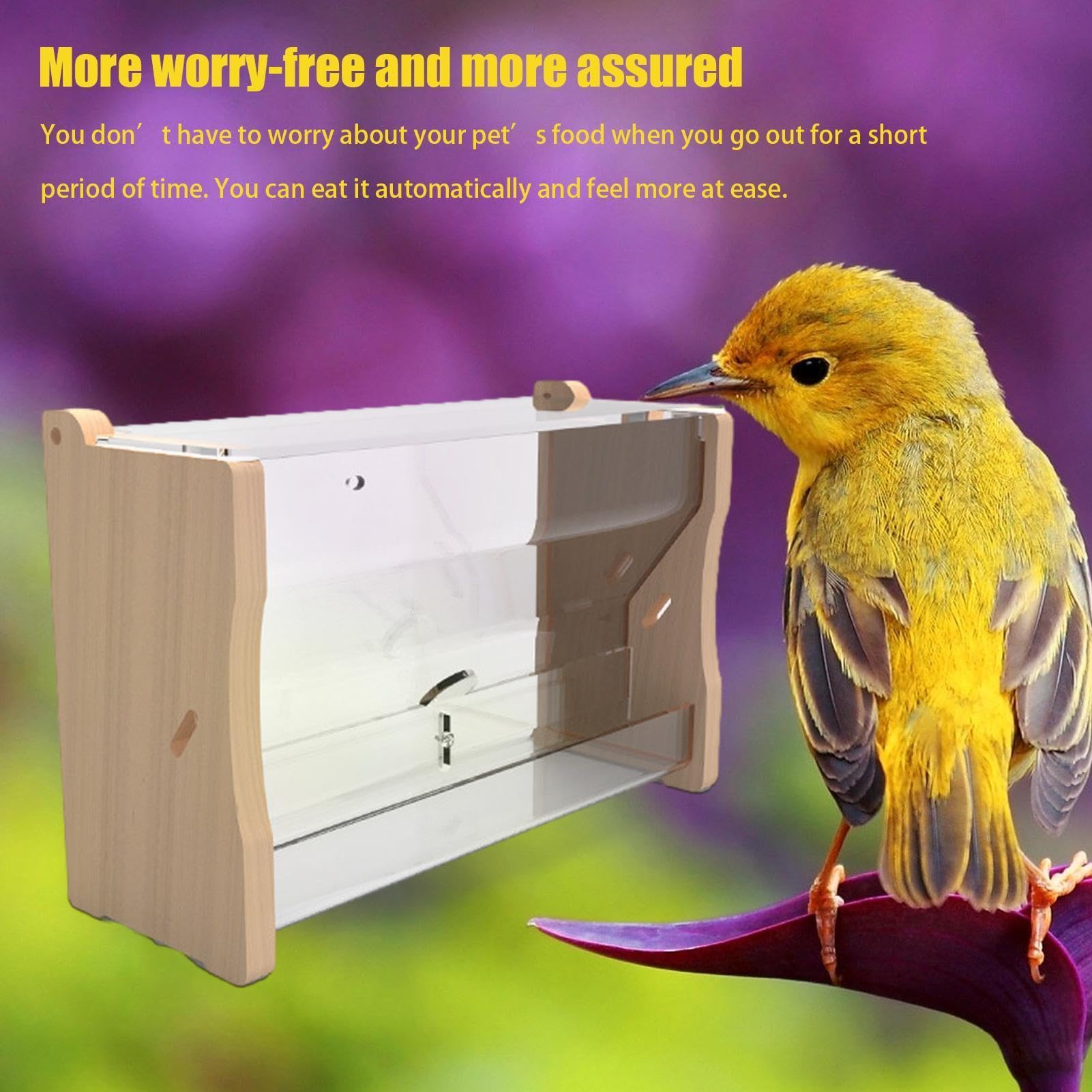 Distributeur d'eau automatique pour oiseaux | Distributeur d'eau pour oiseaux - Accessoires pour cailles, poules, perroquets, etc
