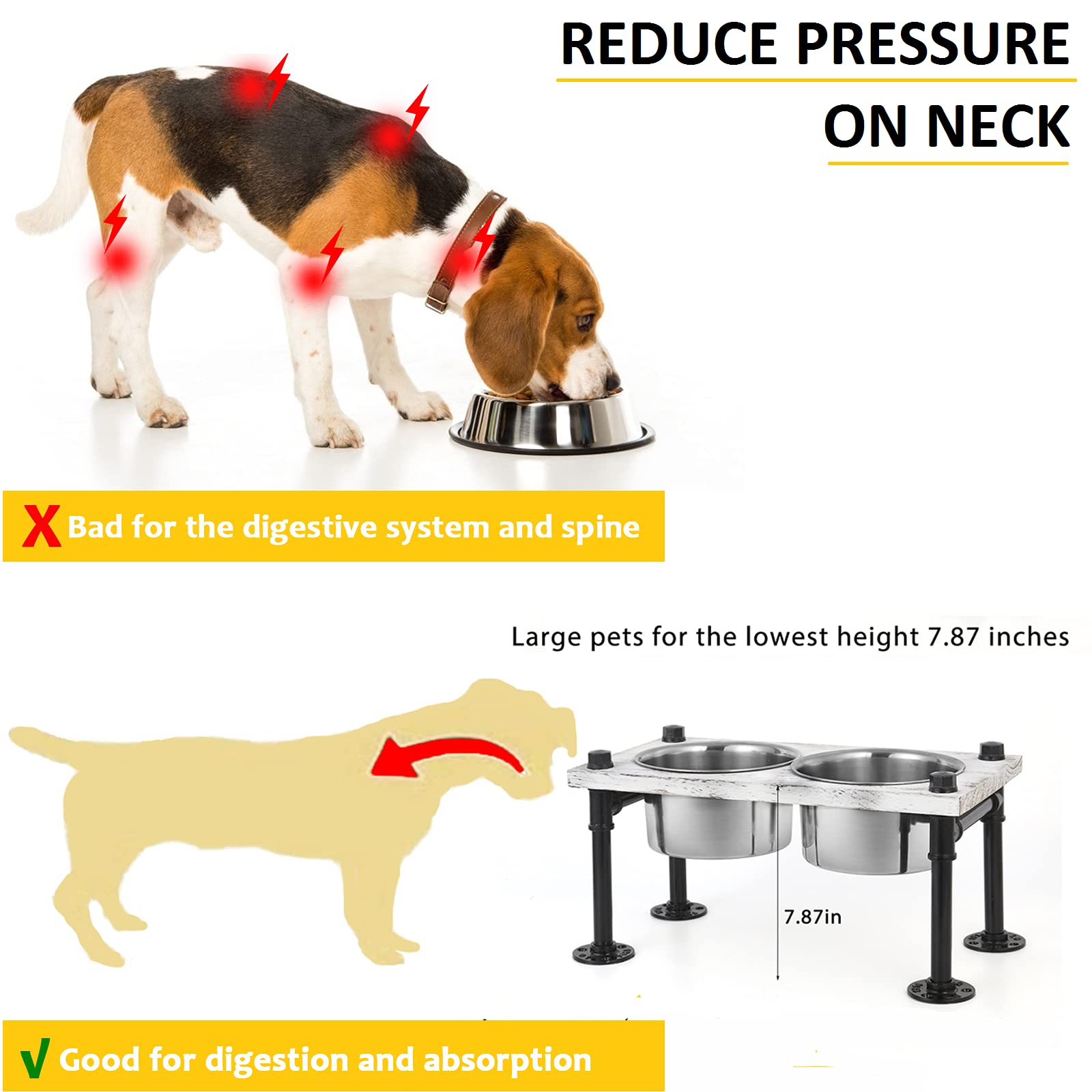 Are Elevated Dog Bowls Good Or Bad