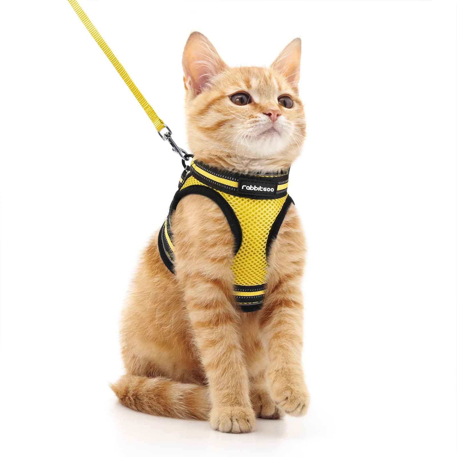 rabbitgoo Cat Harness and Leash Set for Walking Escape Proof, Adjustable Soft Kittens Vest with Reflective Strip for Cats, Comfortable Outdoor Vest, Black, Small — view 21