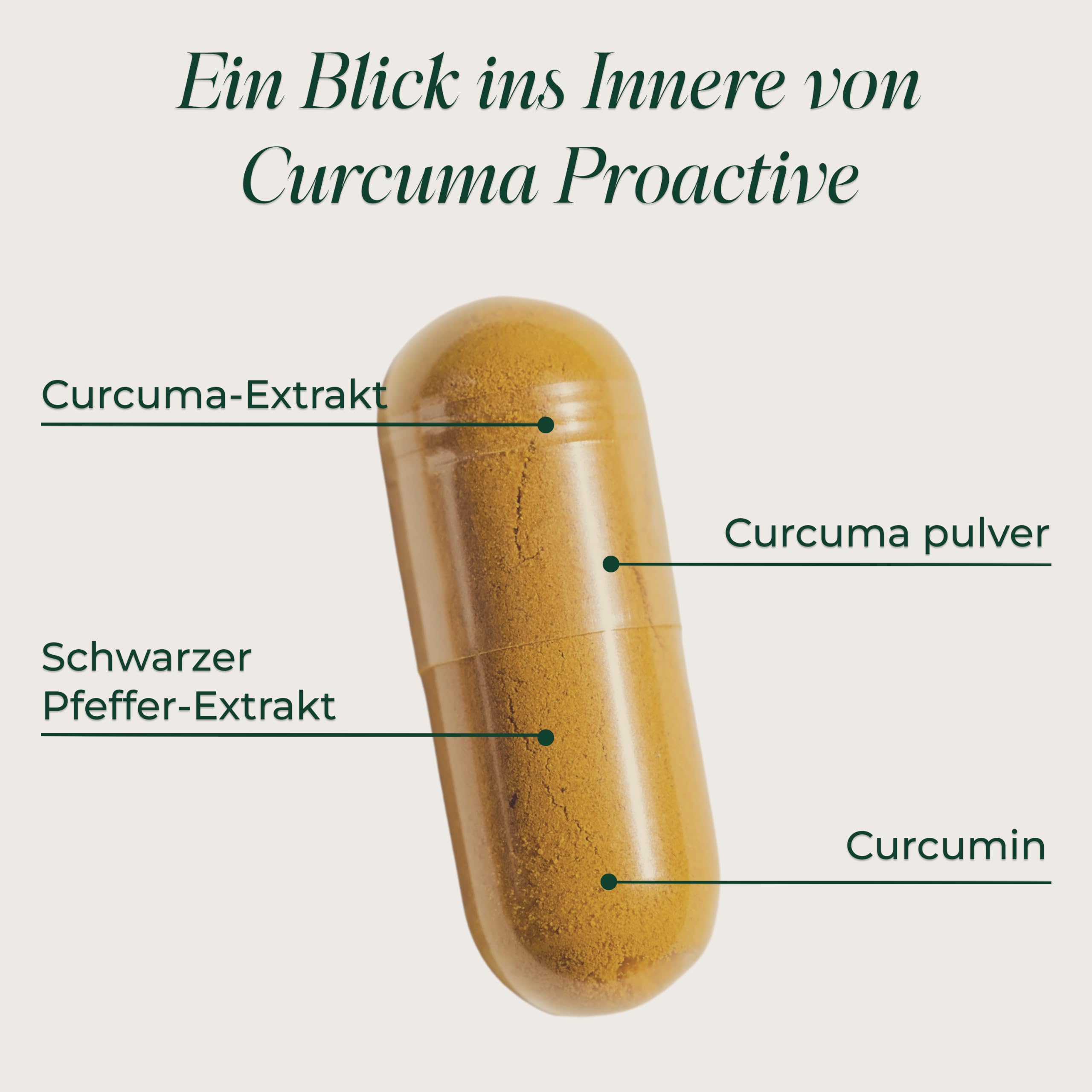 Primal Curcuma Proactive – Taglisches Supplement, glutenfrei, vegan