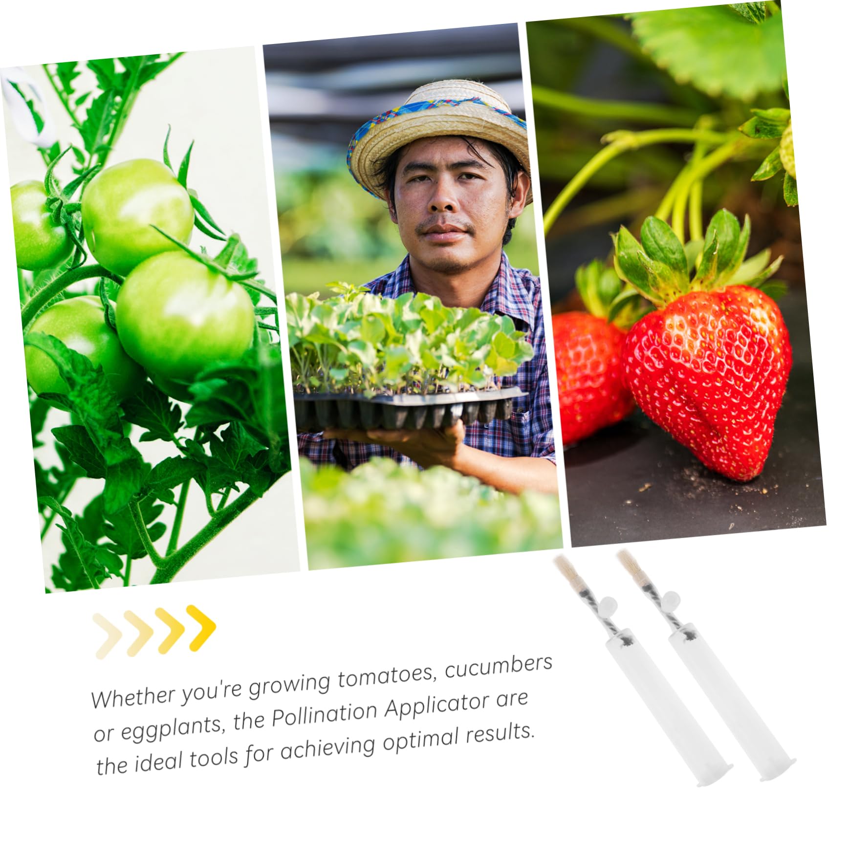 ibasenice 4 Ensembles Outil De Pollinisation De Jardin Applicateur De Pollinisation pour Légumes Fruits Et Fleurs Outils De Jardinage Efficaces pour Augmenter Rendements 2 Pièces * 4
