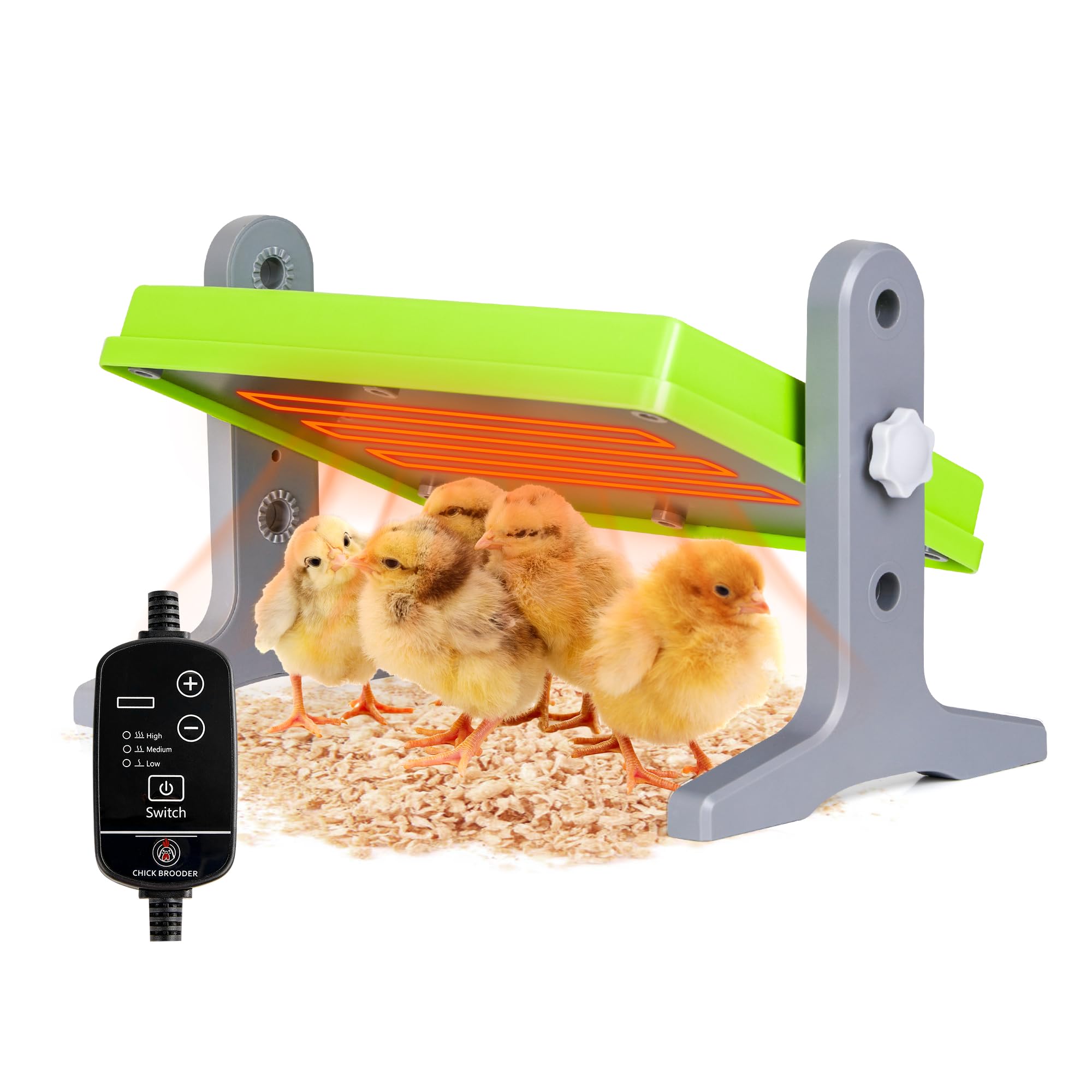 Chick Brooder Heater - Adjustable Temperature, Size, Height for 10 Chicks - Green (12'' x 8'')