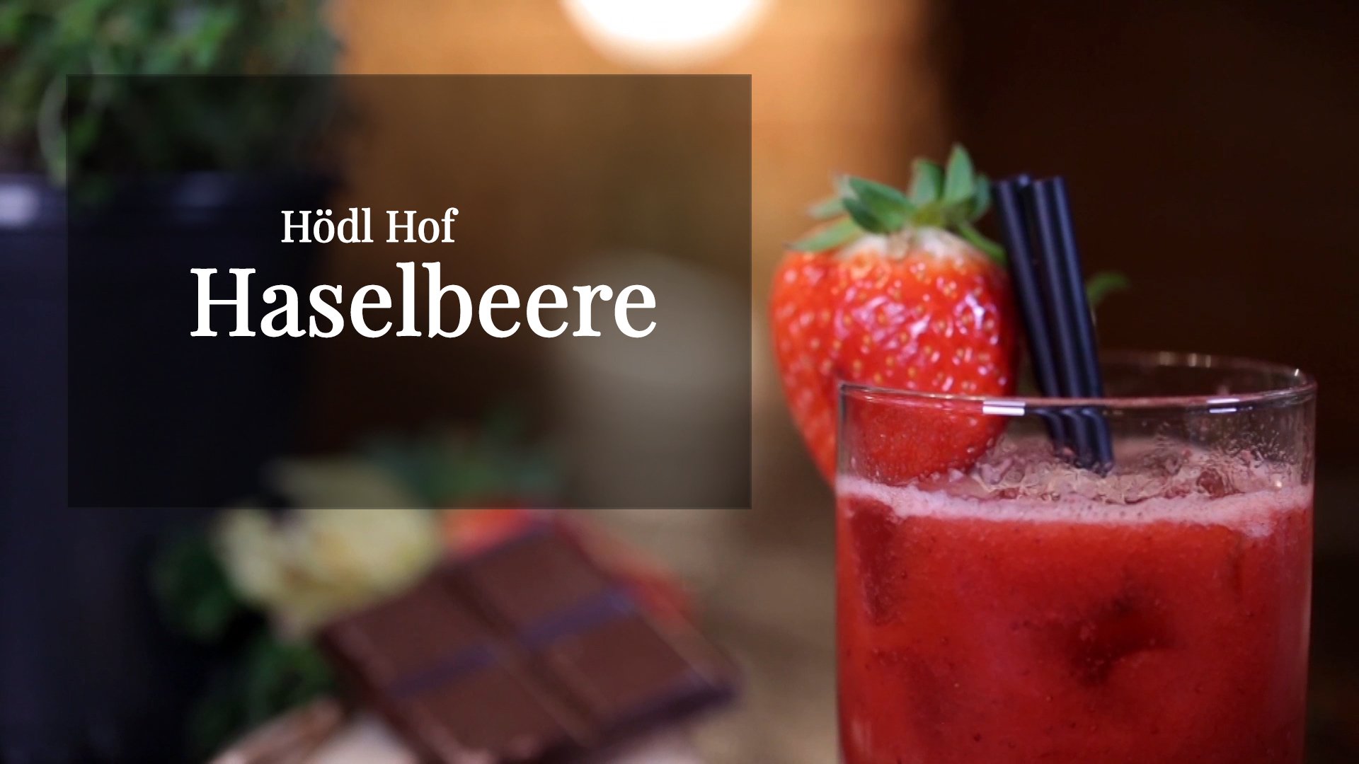 Hödl Hof Haselnuss Obstbrand (1 x 1 l)