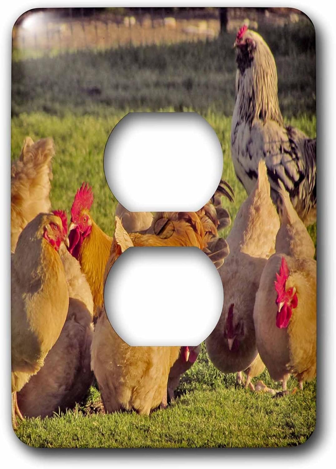 3dRose lsp_195204_6 Red Hens and Roosters 2 Plug Outlet Cover