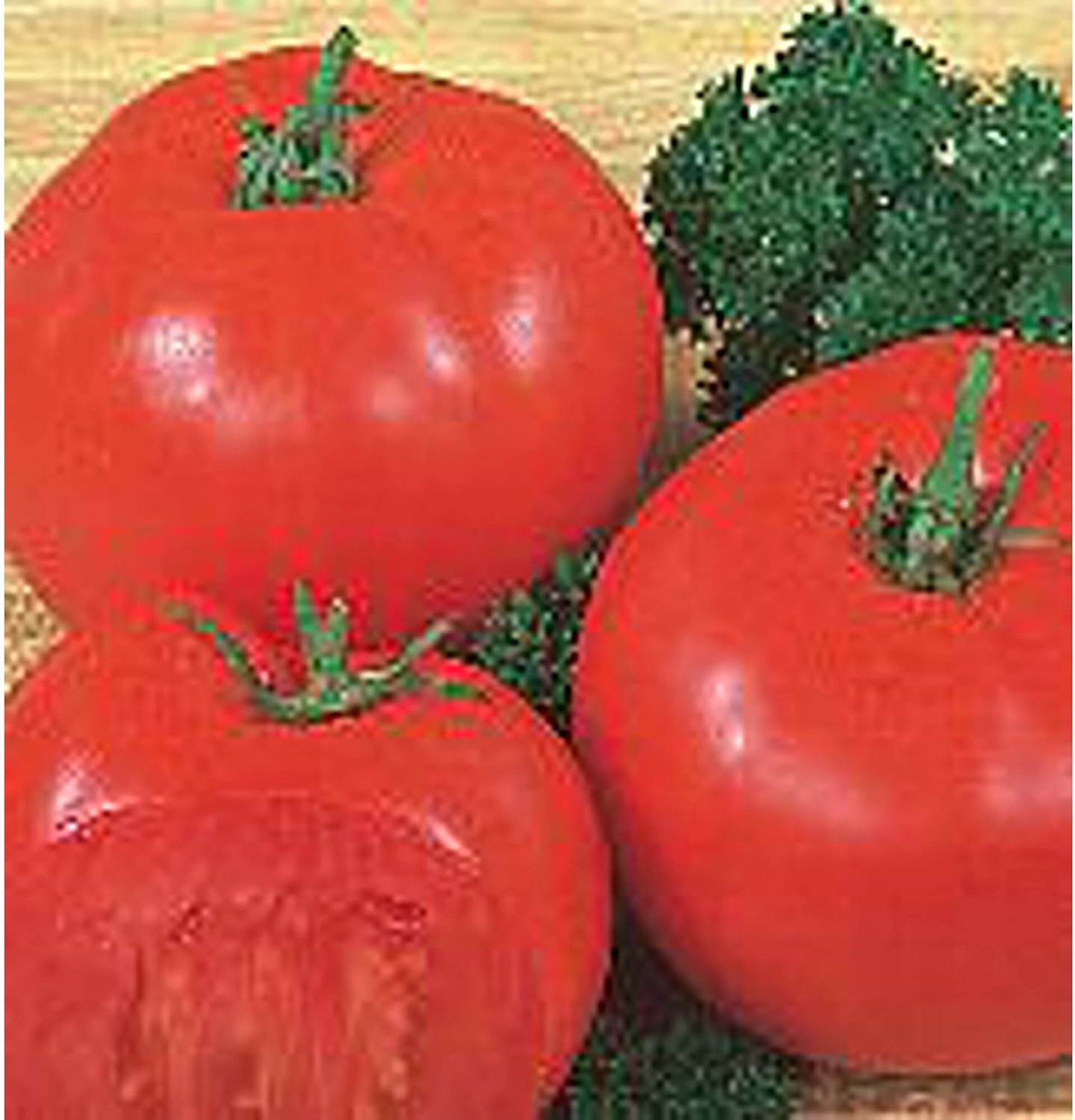 Super Beefsteak Tomato Seeds (20+ Seeds) Non GMO