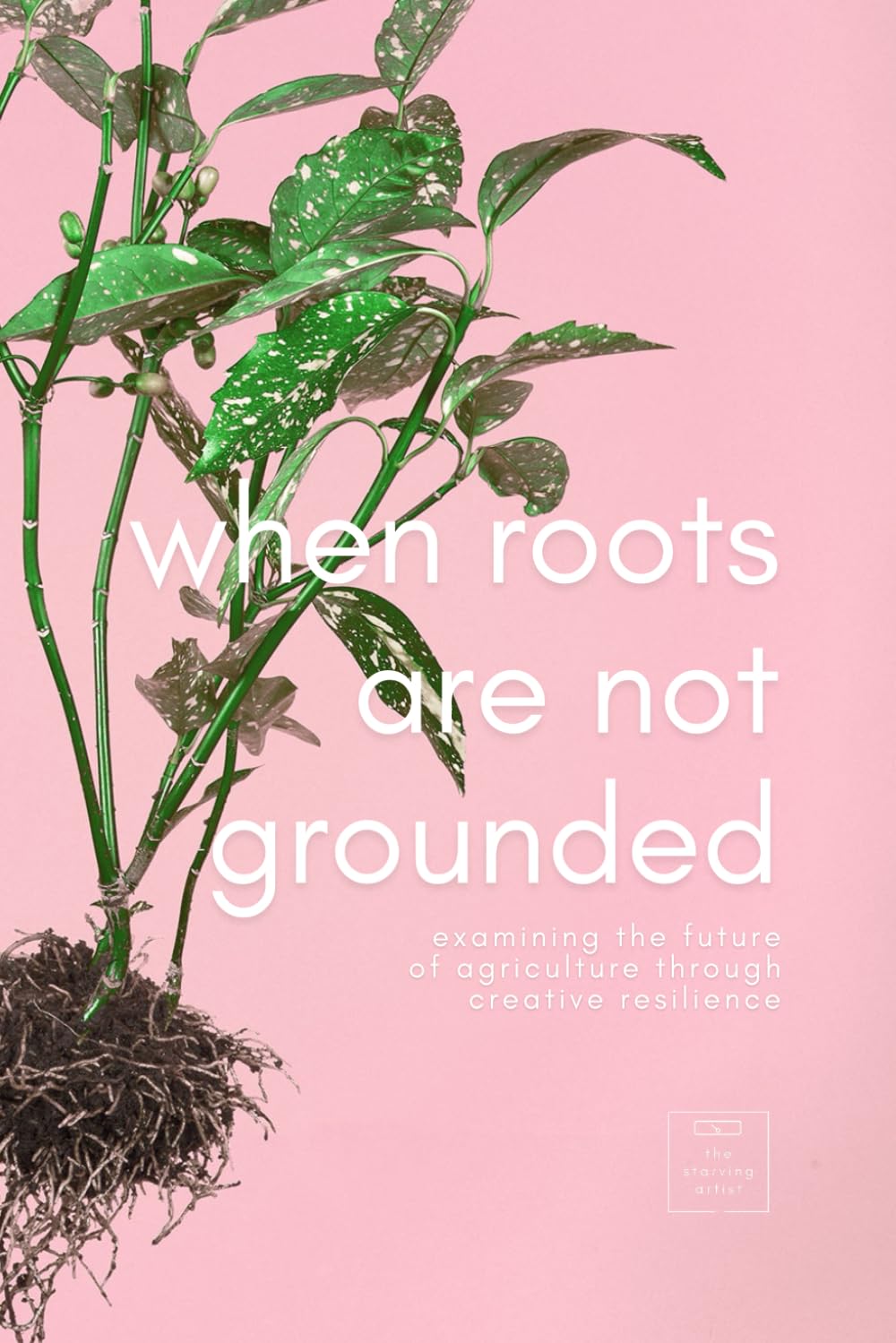 When Roots Are Not Grounded: Examining the future of agriculture ...