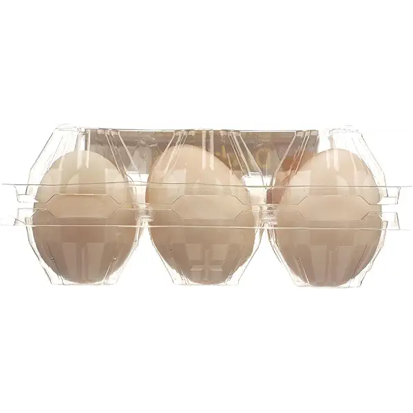 THE FARMSTAND Duck Eggs, 6 CT 6